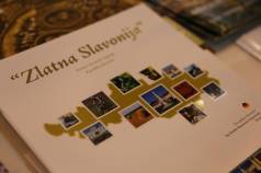Mini IMG 9562